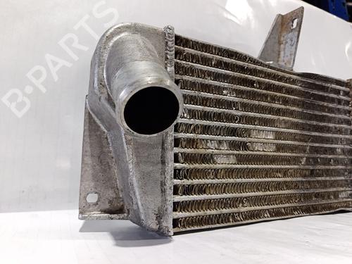 Intercooler TATA 207 Pickup  | BP30040273M30 
