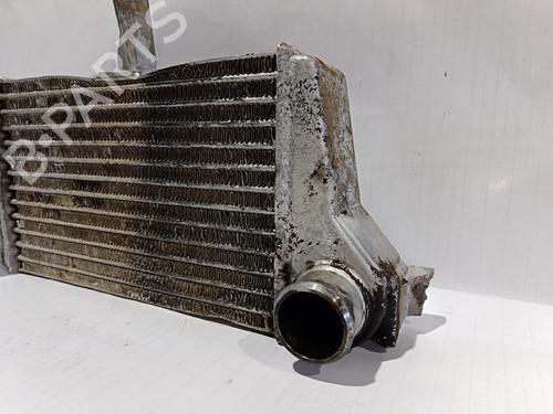 Intercooler TATA 207 Pickup  | BP30040273M30 