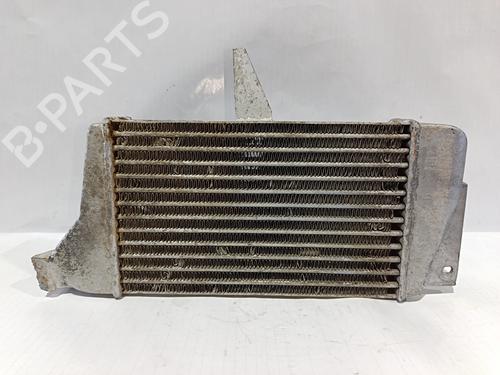 Intercooler TATA 207 Pickup  | BP30040273M30 