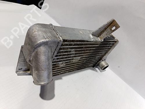 Intercooler TATA 207 Pickup  | BP30040273M30 