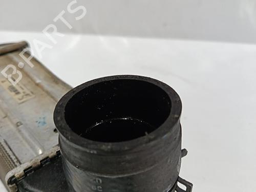 Intercooler AUDI A3 (8L1)  | BP30040948M30