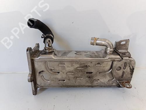 Egr JEEP COMPASS (MK49) 2.2 CRD 4x4 | BP30041045M69 