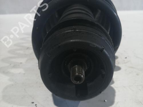 Right front shock absorber AUDI A3 (8L1)  | BP30041060M17 