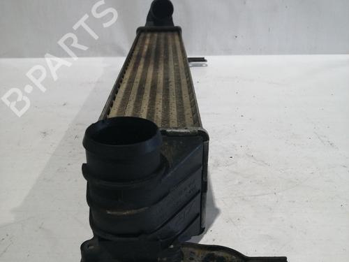 Intercooler FORD GALAXY MK I VAN (WGR) [1995-2006]  30041066