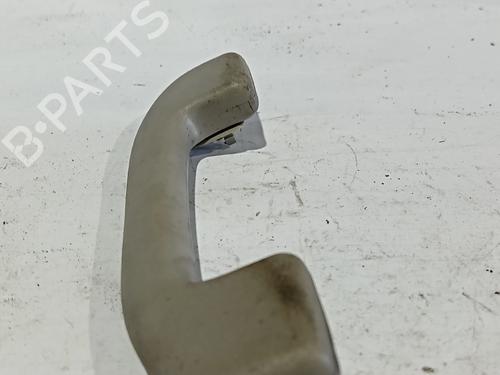 interior-roof-handle-nissan-pathfinder-iii-r51-2005-30041042 main image