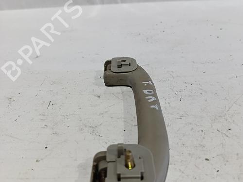 Interior roof handle NISSAN PATHFINDER III (R51) | BP30041041I35