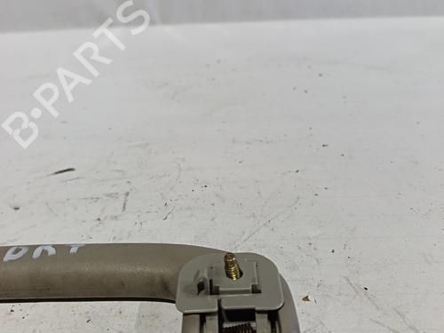 Interior roof handle NISSAN PATHFINDER III (R51) | BP30041041I35