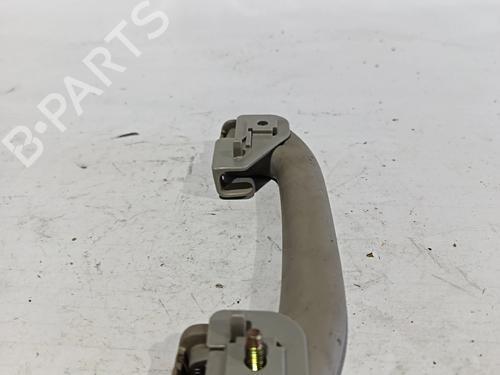Interior roof handle NISSAN PATHFINDER III (R51)  | BP30041040I35 
