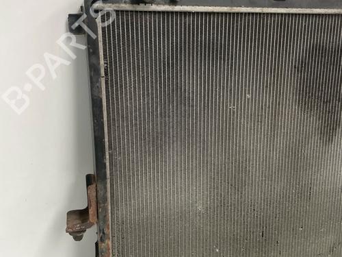 Køler NISSAN PATHFINDER III (R51) | BP30041212M31