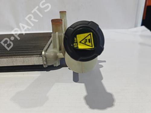 Water radiator FIAT PUNTO (176_)  | BP30041334M31