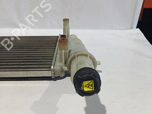 Water radiator FIAT PUNTO (176_)  | BP30041334M31