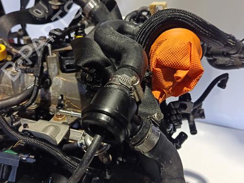 Engine NISSAN MICRA V (K14)  | BP30041385M1 