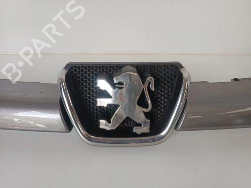 Grille PEUGEOT 206 Van  | BP30042264C40 