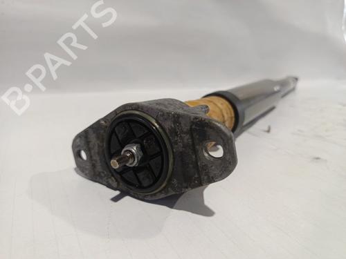 Dämpfer hinten links FORD FOCUS C-MAX (DM2)  | BP30042746M18 