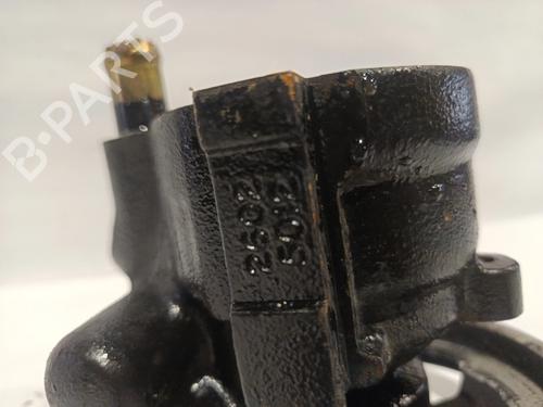 Servostyringspumpe RENAULT CLIO II Hatchback Van (SB0/1/2_)  | BP30042858M99 
