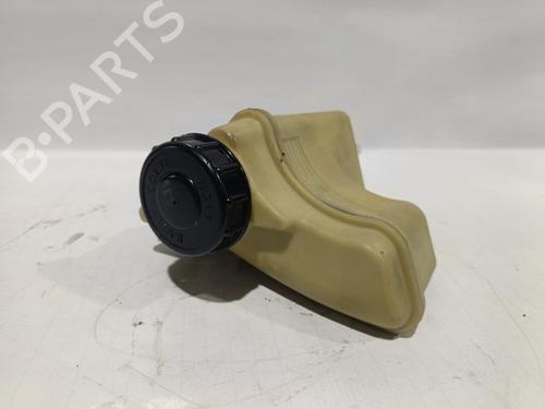 Used Power steering reservoir RENAULT CLIO II Hatchback Van (SB0/1/2_) [1998-2025]  30042859