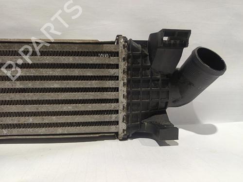 Intercooler FORD FOCUS II Turnier (DA_, FFS, DS) | BP30043009M30