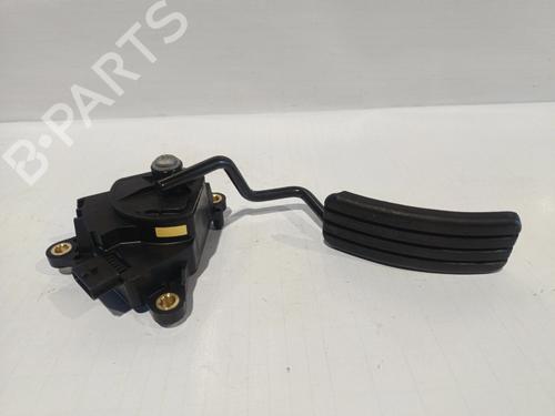 Pedal RENAULT CLIO III (BR0/1, CR0/1) [2005-2014]  30043056