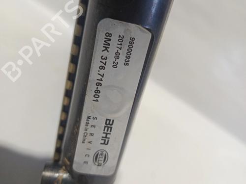 Water radiator RENAULT 19 I (B/C53_)  | BP30043132M31 