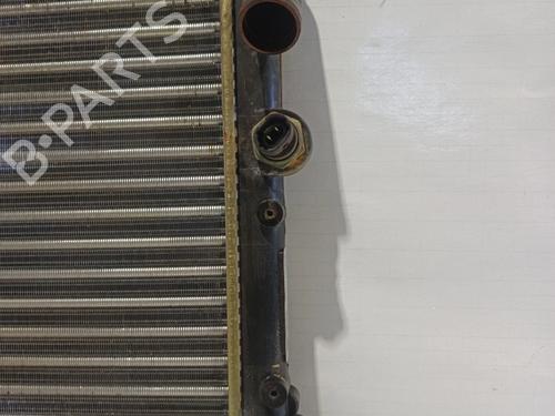 Water radiator RENAULT 19 I (B/C53_)  | BP30043132M31 
