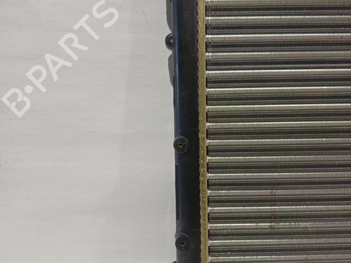 Water radiator RENAULT 19 I (B/C53_)  | BP30043132M31 