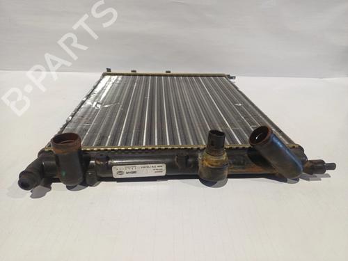 Water radiator RENAULT 19 I (B/C53_)  | BP30043132M31 