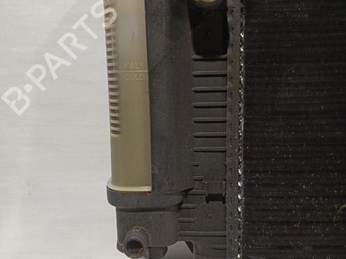 Water radiator BMW 3 (E36)  | BP30043248M31 