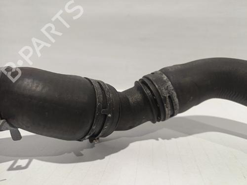 Pipe VW GOLF IV Van (1J1)  | BP30043422M125 