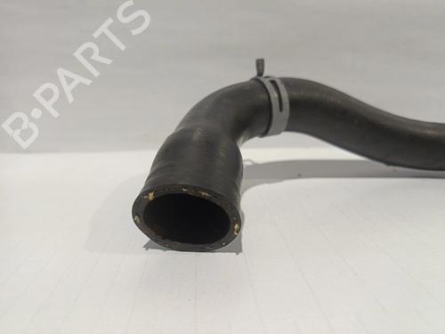 Pipe VW GOLF IV Van (1J1)  | BP30043424M125 