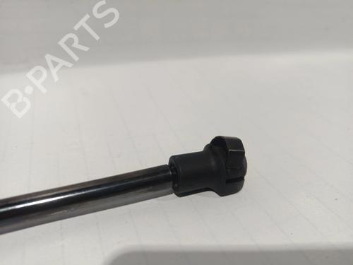 Tailgate lift support VW GOLF IV Van (1J1)  | BP30043448C138 