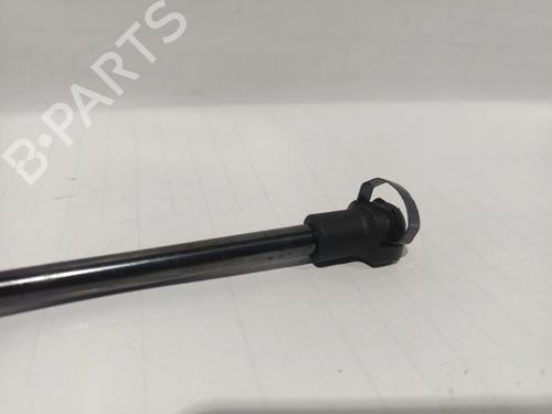 Gasdæmper bagklap VW GOLF IV Van (1J1)  | BP30043447C138 