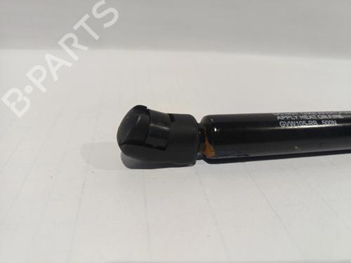 Gasdæmper bagklap VW GOLF IV Van (1J1)  | BP30043447C138 