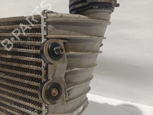 Ladeluftkühler AUDI A3 (8L1) | BP30202896M30
