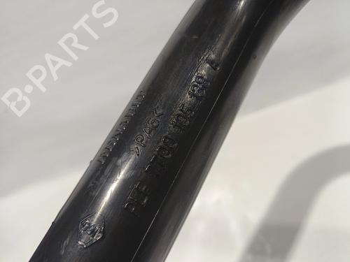 - Image 7