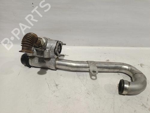 Egr RENAULT MEGANE II (BM0/1_, CM0/1_) [2001-2012]  30734092