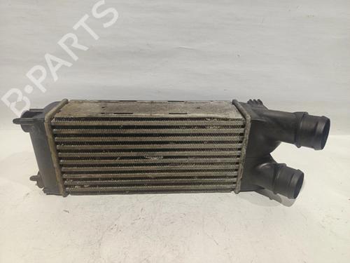 Used Intercooler pipe PEUGEOT PARTNER Box Body/MPV [2008-2025]  30850611
