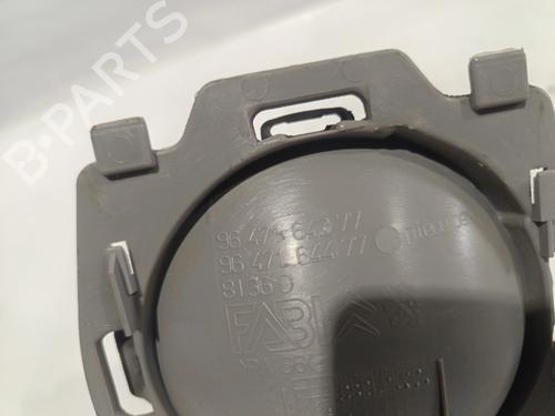 Rear right interior door handle CITROËN C3 I (FC_, FN_)  | BP31073691I16 