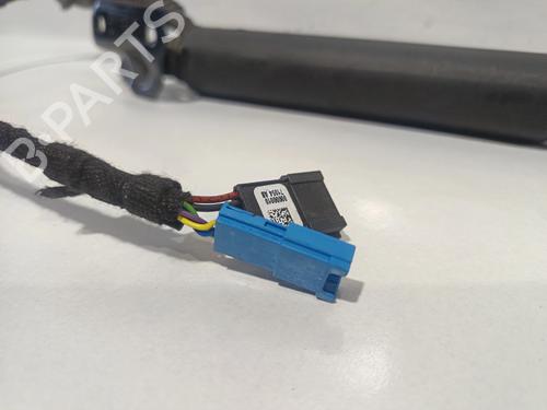 Tailgate lift support BMW 3 Touring (F31) | BP31612488C138