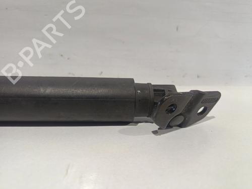 Tailgate lift support BMW 3 Touring (F31) | BP31612488C138