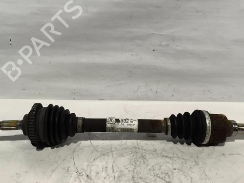 BP31672399M38 main image