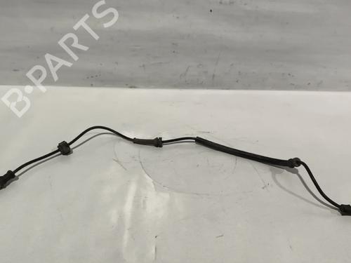 Used Electronic module RENAULT LAGUNA II (BG0/1_) 1.9 dCi (BG08, BG0G) (120 hp) 31644906