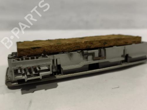 Interior roof light RENAULT LAGUNA II (BG0/1_) 1.9 dCi (BG08, BG0G) | BP31631801I8
