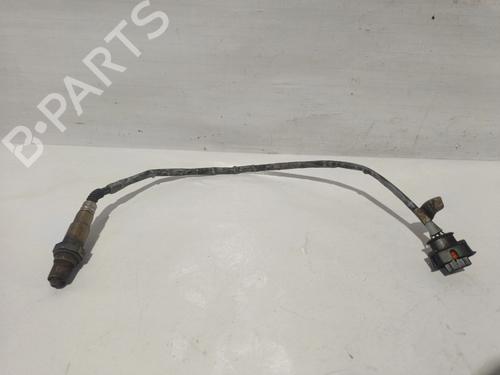 BP31905575M84 main image