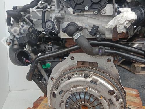 Engine AUDI A3 (8V1, 8VK) | BP31991301M1 - Image 2