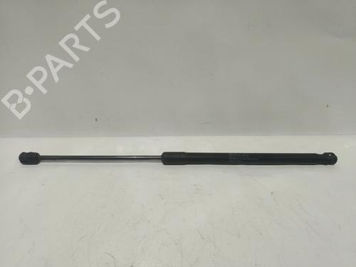 tailgate-lift-support-citroen-c4-ii-nc_-2009-32519216 main image