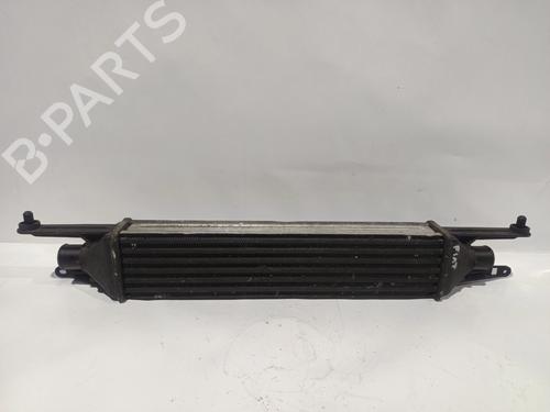 Intercooler FIAT GRANDE PUNTO (199_) 1.3 D Multijet (75 hp) 32685285