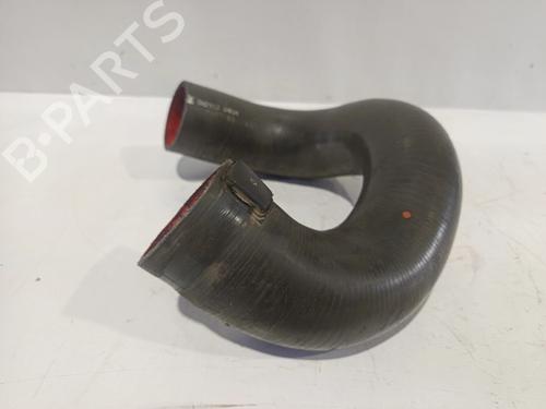 - Image 3