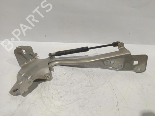 Dørhængsel/Dørbegrænser RENAULT GRAND SCÉNIC III (JZ0/1_) 1.9 dCi (JZ0J, JZ0N, JZ1K, JZ1S) (131 hp) 32862256