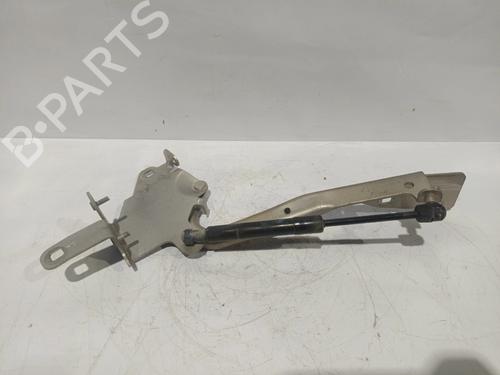 Dørhængsel/Dørbegrænser RENAULT GRAND SCÉNIC III (JZ0/1_) 1.9 dCi (JZ0J, JZ0N, JZ1K, JZ1S) (131 hp) 32862257