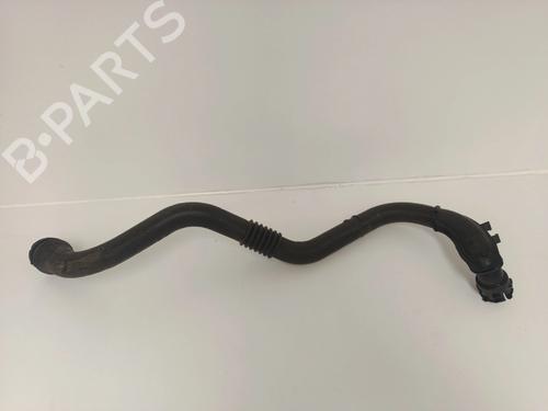  - Image 4